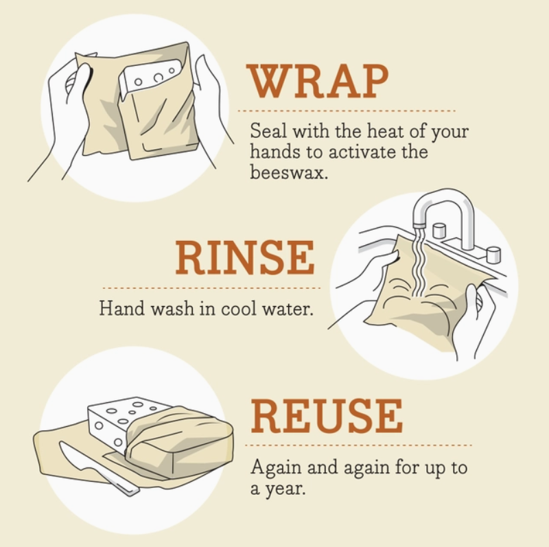 Bee's Wrap - Lunch Pack - Oceans Print