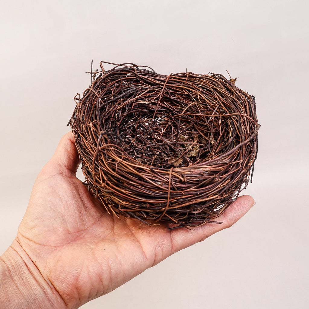 Handmade Bird Nest with Realistic Eggs — Natural Decor or Companion for Hand-Carved Bird Figures