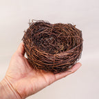 Handmade Bird Nest with Realistic Eggs — Natural Decor or Companion for Hand-Carved Bird Figures