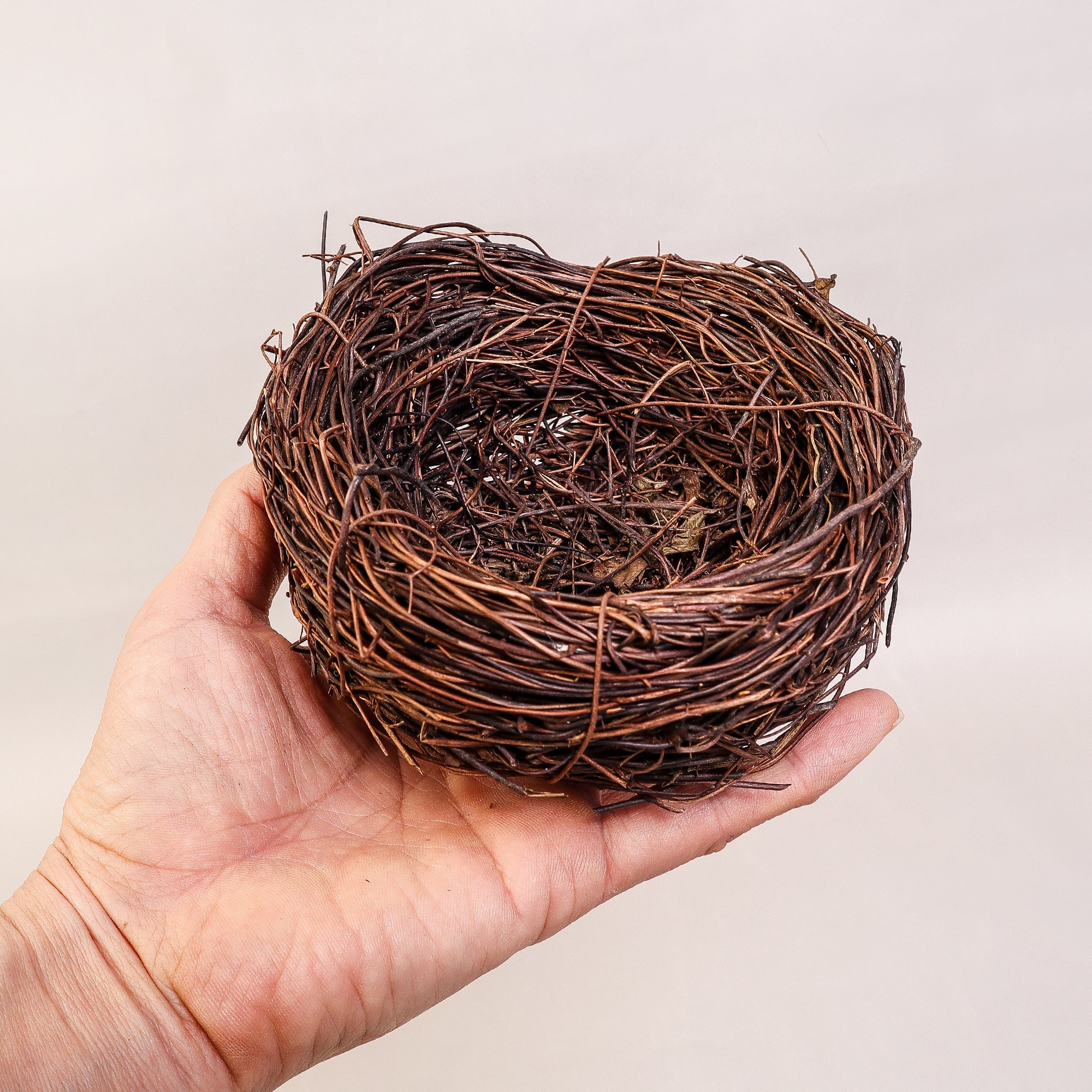 Handmade Bird Nest with Realistic Eggs — Natural Decor or Companion for Hand-Carved Bird Figures