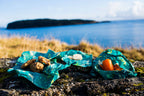 Bee's Wrap - Lunch Pack - Oceans Print