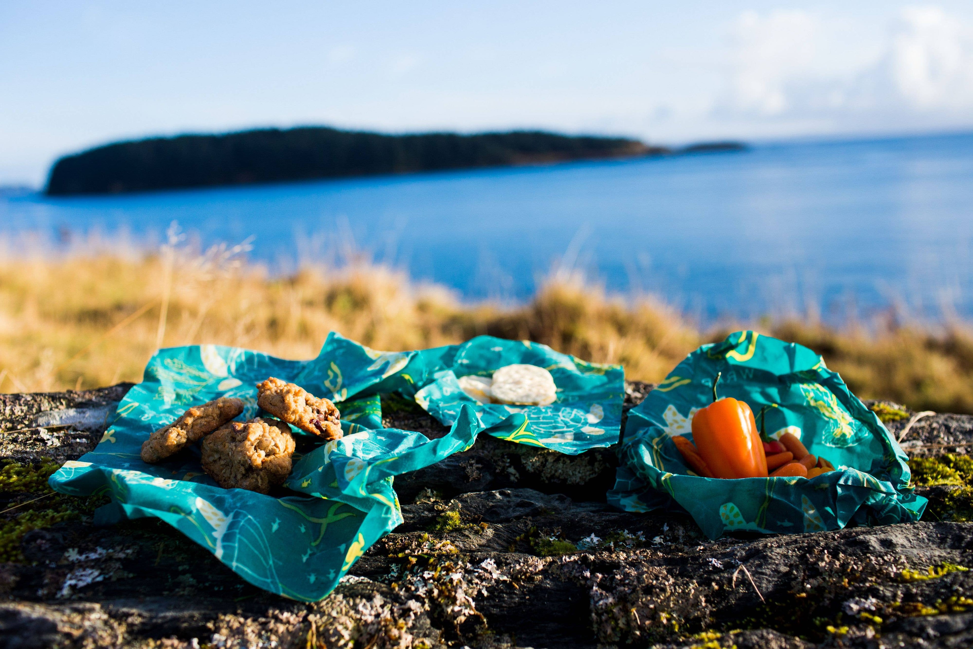 Bee's Wrap - Lunch Pack - Oceans Print