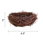 Handmade Bird Nest with Realistic Eggs — Natural Decor or Companion for Hand-Carved Bird Figures