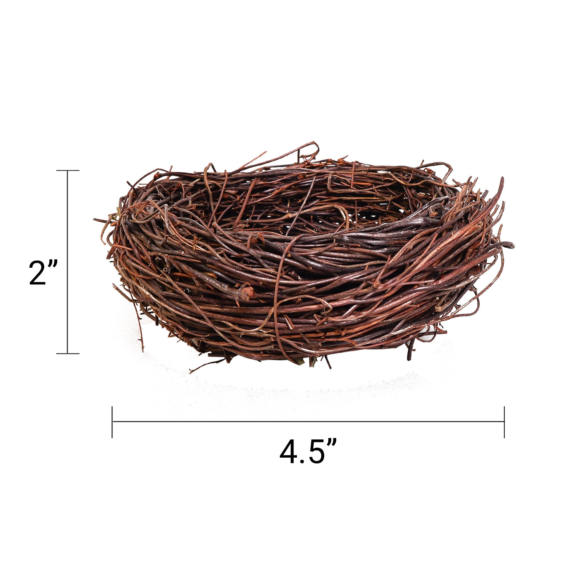 Handmade Bird Nest with Realistic Eggs — Natural Decor or Companion for Hand-Carved Bird Figures