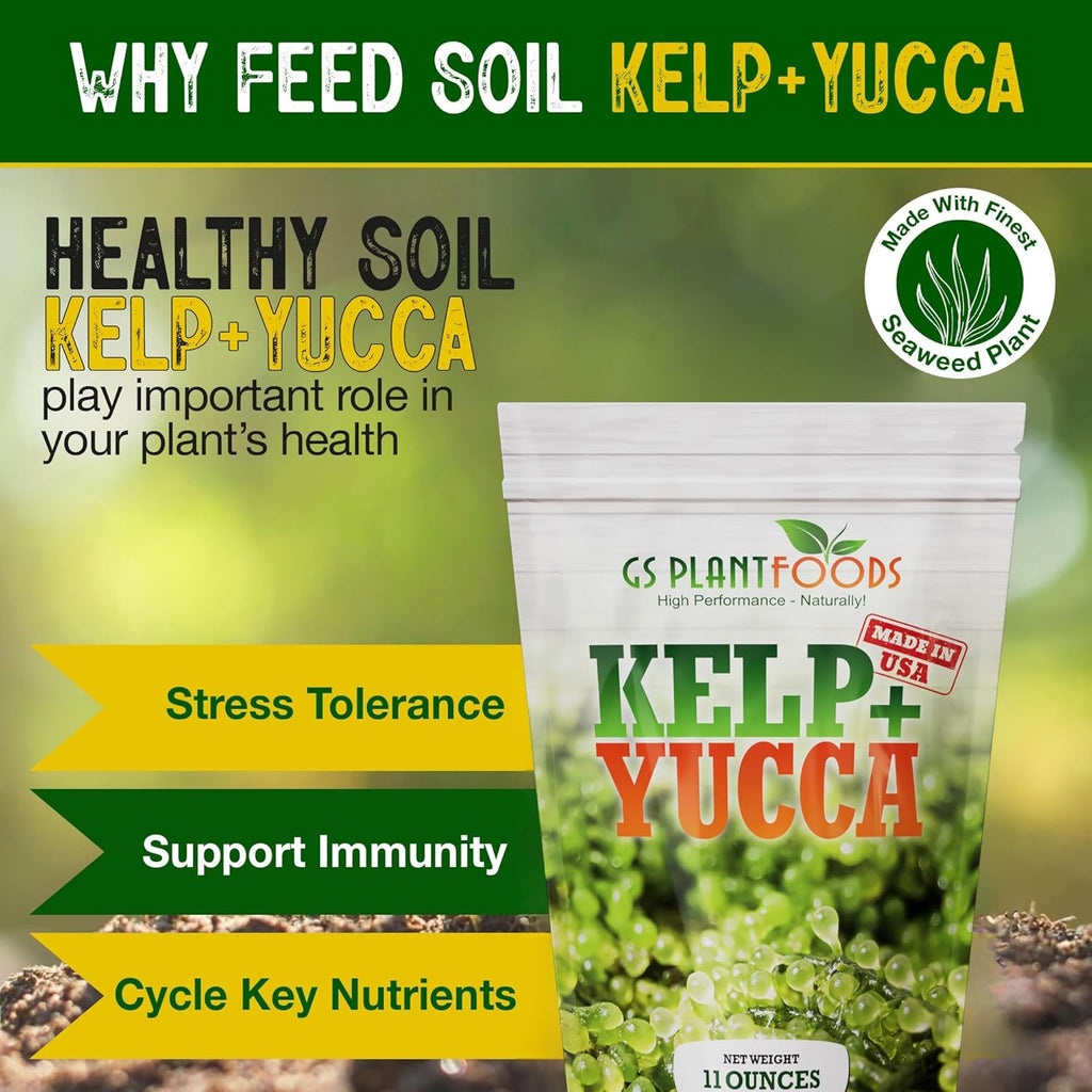 Kelp + Yucca – Soil Moisture & Root Enhancer | GS Plant Foods