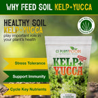 Kelp + Yucca – Soil Moisture & Root Enhancer | GS Plant Foods
