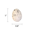 Handmade Bird Nest with Realistic Eggs — Natural Decor or Companion for Hand-Carved Bird Figures