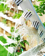 Homie 28 – Home Hydroponic Growing System