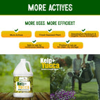 Kelp + Yucca – Soil Moisture & Root Enhancer | GS Plant Foods