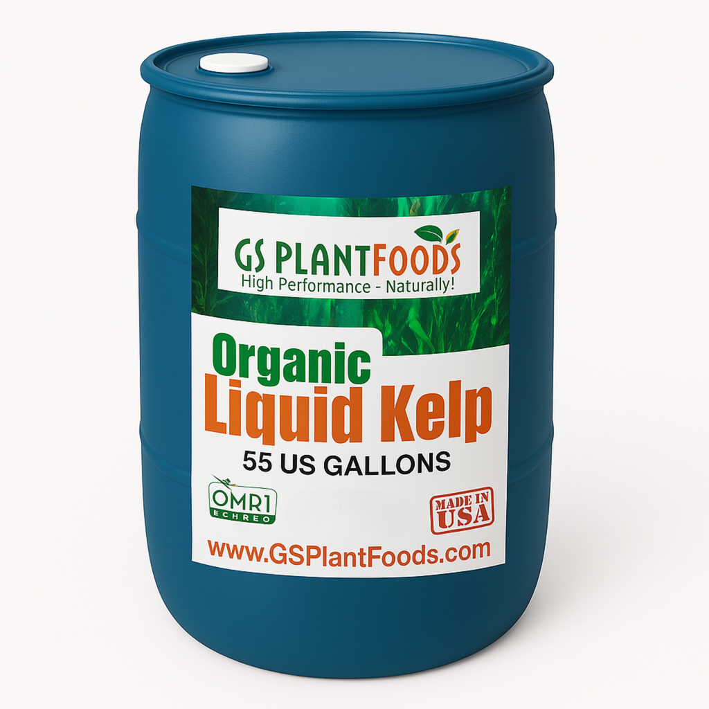 Organic Liquid Kelp Seaweed